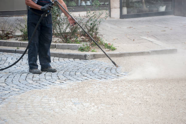  Lecanto, FL Pressure Washing Pros